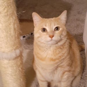 Meet your Posher, Carla